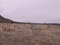 metal detecting 002.webp