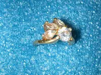 Ring.webp