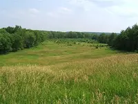hill (Small).webp