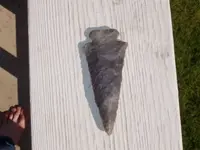 Sonora dovetail.webp