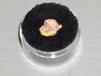 1.31gram gold nugget.webp