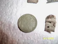 field finds 138.webp