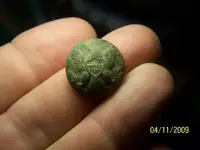 4-11-09 eagle button.webp