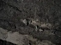 DSCN0355(2).webp