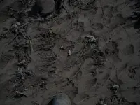 DSCN0356(2).webp