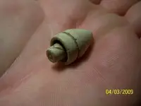 demmick rifle bullet.webp