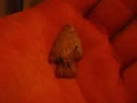 DSCN0360(2).webp