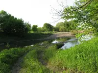 018.webp