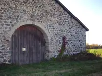 Arched%20Door%20with%20Vine%2010-05-06%20001.webp