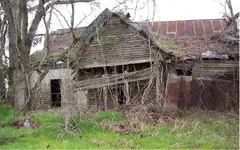 house.webp