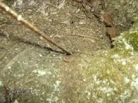 mikes coin photos 003.webp
