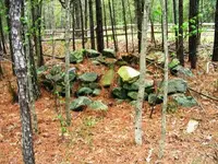 Rocks2.webp