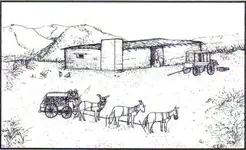 carrizodraw.webp