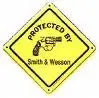 smith and wesson.webp
