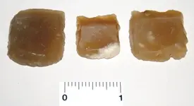 Gunflints.webp