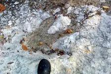 100_3320-2.webp