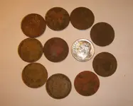 Finds.webp