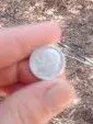 1962 Silver Dime.webp