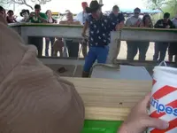RATTLESNAKE RACES SAN PATRICIO 007 (Small) (Small).webp