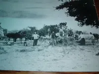 haybaling 002.webp