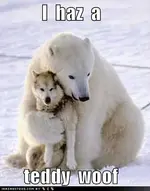 ATT00081.webp