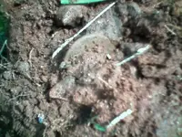 0410091052[1].webp