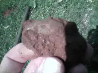 0410091034[1].webp
