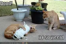 ATT00111.webp