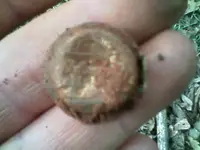 0410091120[1].webp