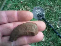 0410091030[1].webp
