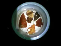 0403092216[1].webp