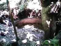 0404091243b[1].webp