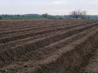 deep plough 001.webp
