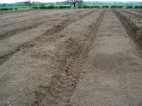 deep plough 002.webp