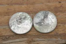 nickels.webp