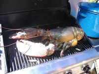 Summer Fall 2006 100.webp