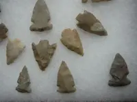 Artifacts 1 031 (Small).webp