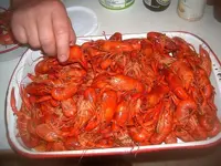 001.webp