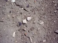 100_4845.webp
