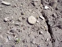 100_4851.webp