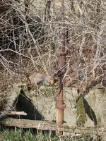 S6301897.webp