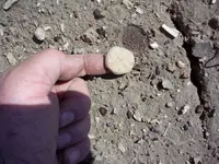 100_4852.webp