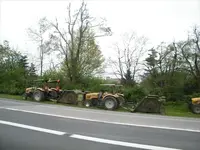 Deere park.webp