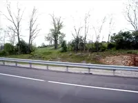 collapsed barn.webp