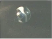 marble1.webp