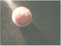 marble3.webp
