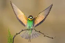 !cid_D54151663DA34E6EA3DBC9161ED9198B@sparkyone.webp