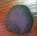 cob2.webp