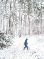sno1.webp