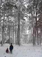 sno2.webp